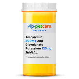 Amoxicillin 875 mg and Clavulanate Potassium 125 mg Tablet