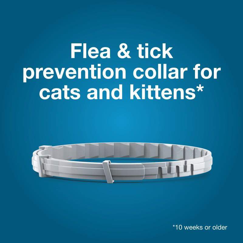 Seresto Flea and Tick Prevention Collar for Cats, 8 month flea and tick prevention