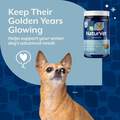 NaturVet Senior Advanced 5-in-1 Support Soft Chews for Dogs