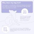Mal-A-Ket Shampoo