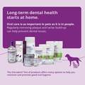Vetradent Dental Spray for Dogs & Cats, 2 oz