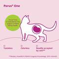 Porus One Kidney Support for Cats, 30 packets (500 mg each)