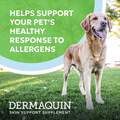 Dermaquin Skin Support Supplement for Large Dogs, 60 Soft Chews