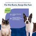 NaturVet Anti-Diarrhea for Dogs and Cats, 8 oz