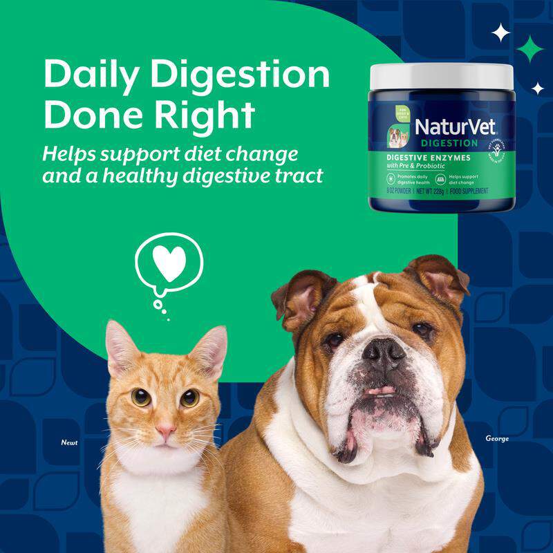NaturVet Digestive Enzymes Powder