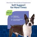 NaturVet Stool Ease for Dogs, 40 Soft Chews