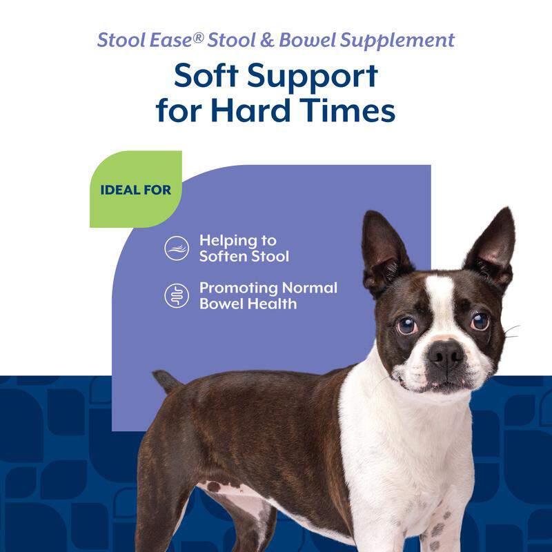 NaturVet Stool Ease for Dogs, 40 Soft Chews