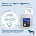 Dechra Pharmaceuticals Phycox Max for Dogs with Joint Issues, 90 Soft Chews