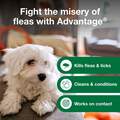 Advantage Treatment Shampoo for Dogs and Puppies, 24 oz