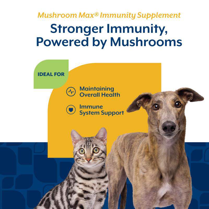 NaturVet Mushroom Max Advanced Immune Support with Turkey Tail Soft Chews for Dogs & Cats