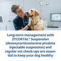 Zycortal Suspension for Dogs, 25 mg/ml, 4 ml Vial