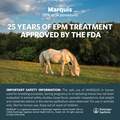 Marquis (15% w/w ponazuril) Antiprotozoal Oral Paste for Horses, 127 gm