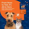 NaturVet All-In-One Supplement Powder, 13 oz