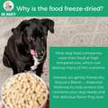Dr. Marty Nature's Blend Essential Wellness Freeze Dried Raw Adult Dog Food