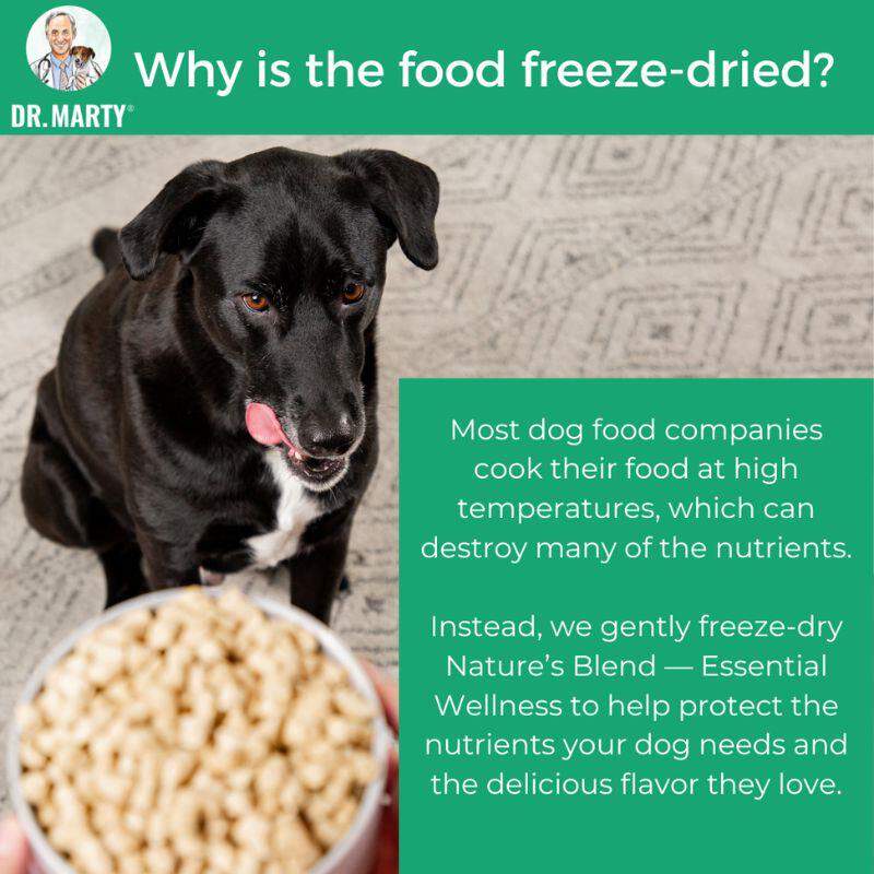 Dr. Marty Nature's Blend Essential Wellness Freeze Dried Raw Adult Dog Food