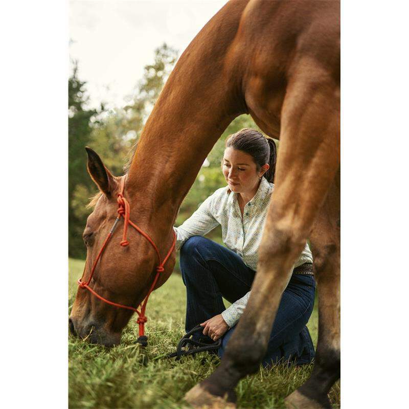 Zoetis Quest Equine Gel for Horses with Worms, 1 syringe, 0.04 ounces