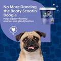 NaturVet No Scoot Soft Chews for Dogs