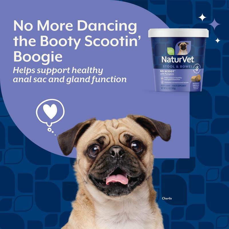 NaturVet No Scoot Soft Chews for Dogs