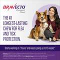 Bravecto Chews for Dogs