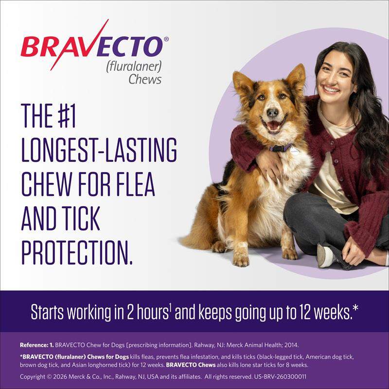Bravecto Chews for Dogs