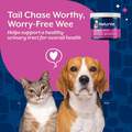 NaturVet Cranberry Relief Powder, 50 gm