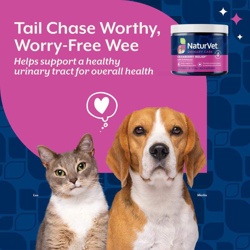 NaturVet Cranberry Relief Powder, 50 gm