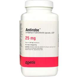 ANTIROBE (Clindamycin Hydrochloride) Capsules