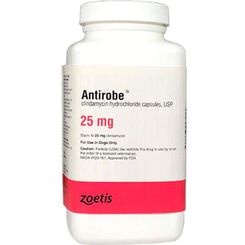 ANTIROBE (Clindamycin Hydrochloride) Capsules