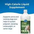 PetAg Dyne High Calorie Liquid Nutritional Supplement for Dogs, 16 oz