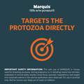 Marquis (15% w/w ponazuril) Antiprotozoal Oral Paste for Horses, 127 gm