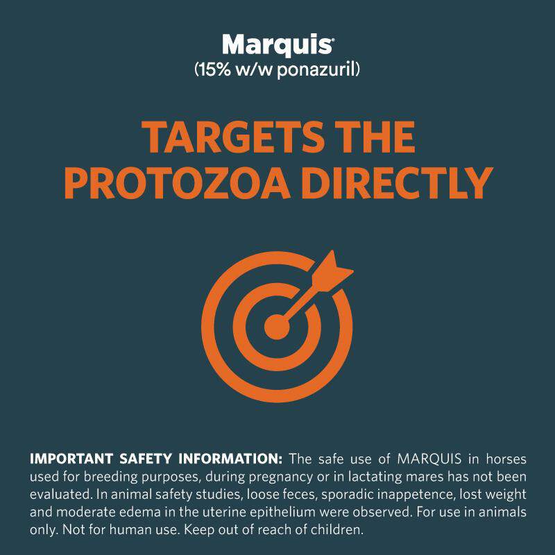 Marquis (15% w/w ponazuril) Antiprotozoal Oral Paste for Horses, 127 gm