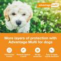 Advantage Multi Topical for Dogs