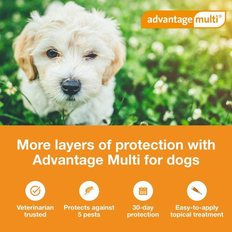 Advantage Multi Topical for Dogs