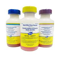 Horse Vaccine