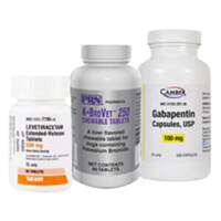 Epilepsy & Seizure