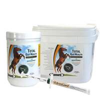 Horse Digestive Supplements