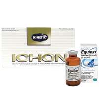 Horse Joint Pain Inflammation