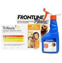Dog Flea & Tick