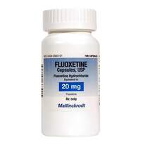 Dog Anxiety Medications