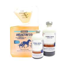 Horse Supplements