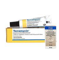 Horse Eye Antibiotics