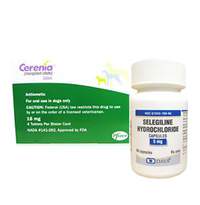 Dog Rx Miscellaneous