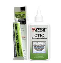 Dog Ear Infection