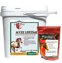 Horse Immune Supplements