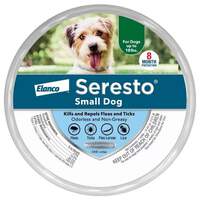 Dog Flea Collars