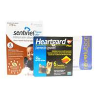 Heartworm Preventives